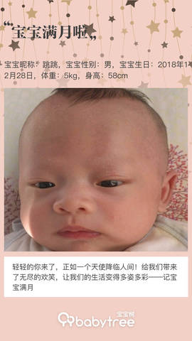 journal_insert_pic_1173403938