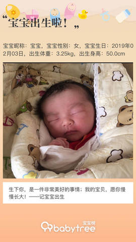 journal_insert_pic_1174794629