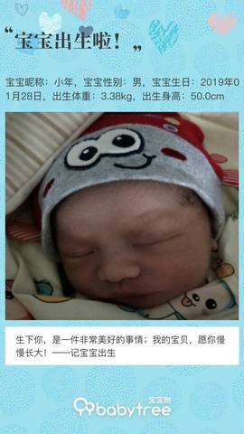 journal_insert_pic_1175008734