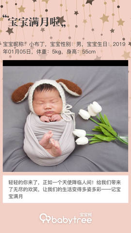 journal_insert_pic_1175370370