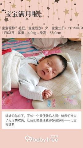 journal_insert_pic_1175199937