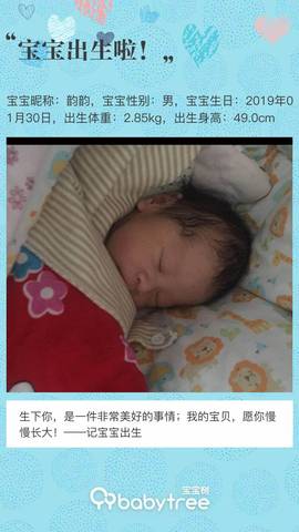 journal_insert_pic_1176320326