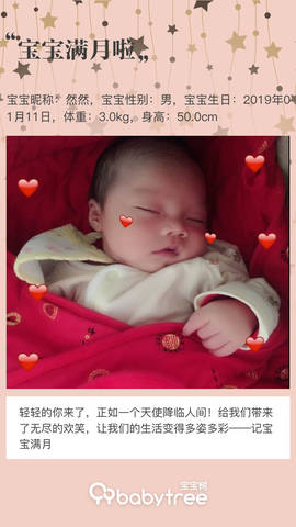 journal_insert_pic_1177605925