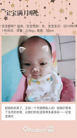 journal_insert_pic_1179160674