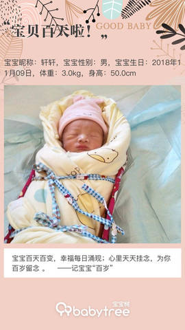 journal_insert_pic_1179623575