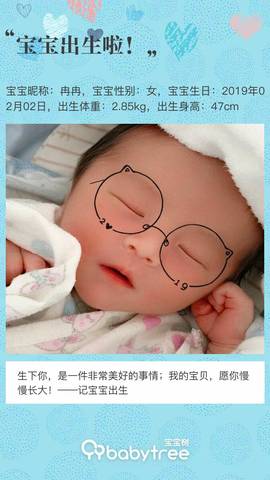 journal_insert_pic_1179731466
