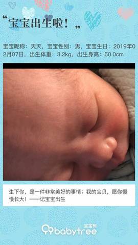 journal_insert_pic_1180255283
