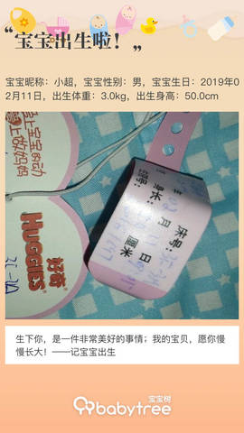 journal_insert_pic_1180599303