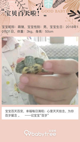 journal_insert_pic_1180339753