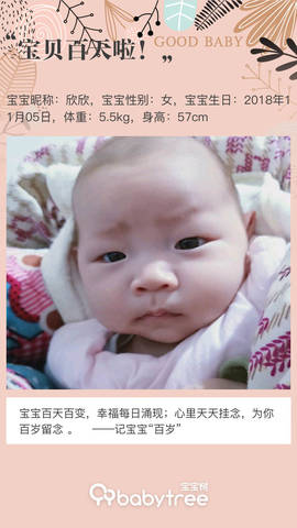 journal_insert_pic_1180269142