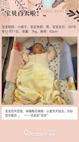 journal_insert_pic_1181030232