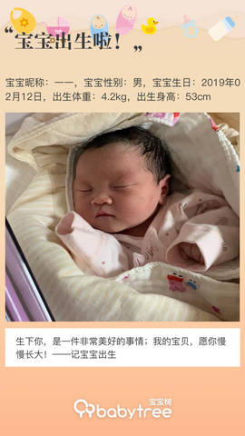 journal_insert_pic_1180700631