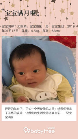 journal_insert_pic_1181312760