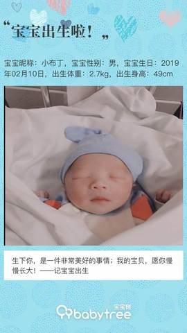 journal_insert_pic_1182452907