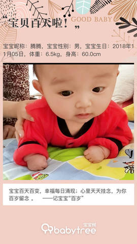 journal_insert_pic_1182284286