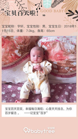 journal_insert_pic_1183928874