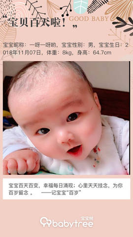 journal_insert_pic_1184633442