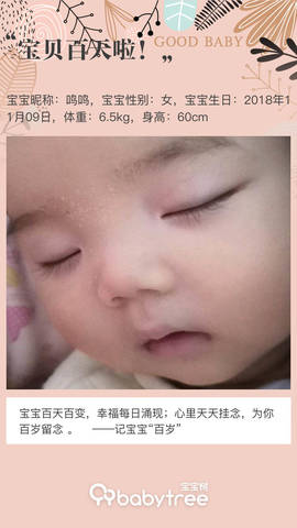 journal_insert_pic_1184341528