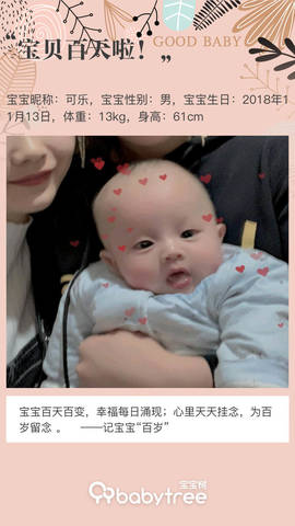 journal_insert_pic_1185157394