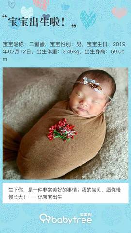 journal_insert_pic_1185093703