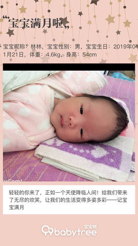 journal_insert_pic_1185369600