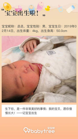 journal_insert_pic_1186432240