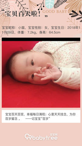 journal_insert_pic_1186309039