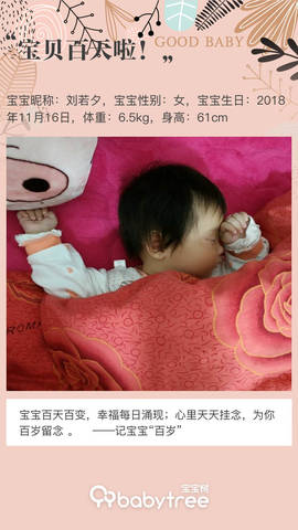 journal_insert_pic_1186700246