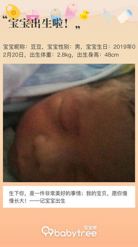 journal_insert_pic_1186732687