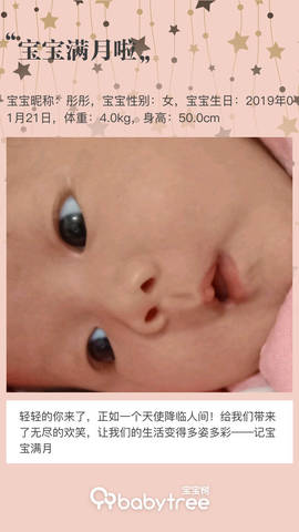 journal_insert_pic_1186913716