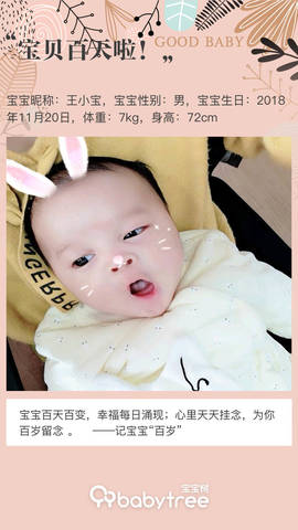 journal_insert_pic_1187521642