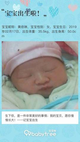journal_insert_pic_1187611781
