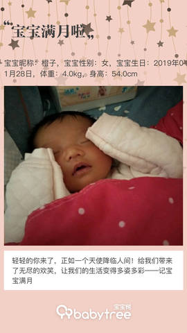 journal_insert_pic_1187912705