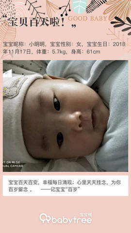 journal_insert_pic_1188606276