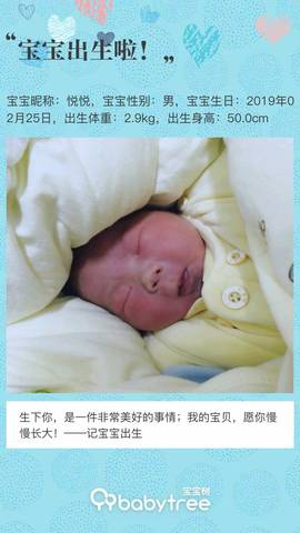 journal_insert_pic_1189574868