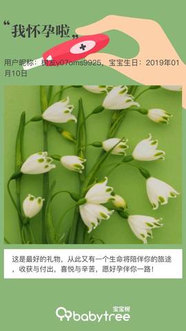 journal_insert_pic_1189881587