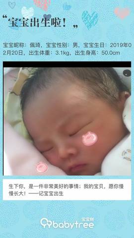 journal_insert_pic_1190000245