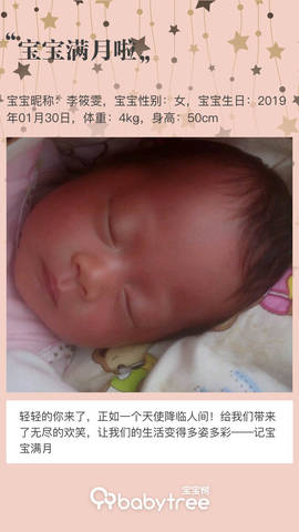 journal_insert_pic_1189842608