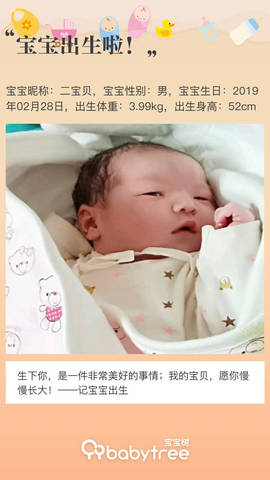 journal_insert_pic_1190715536