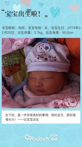 journal_insert_pic_1190647766