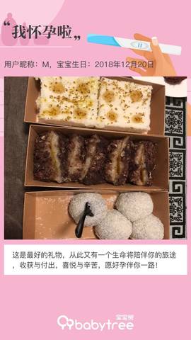 journal_insert_pic_1190301690