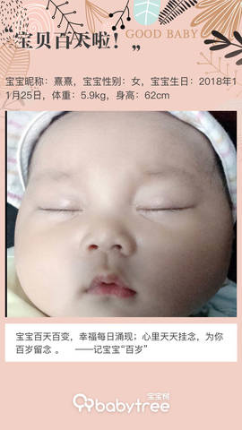 journal_insert_pic_1191211971