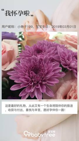 journal_insert_pic_1191275333