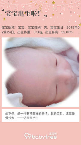 journal_insert_pic_1191178088