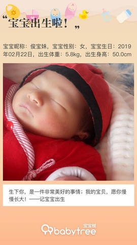 journal_insert_pic_1191255455