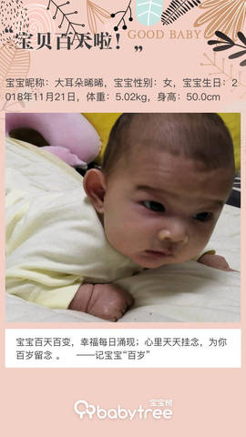 journal_insert_pic_1191360005