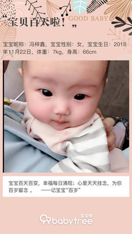 journal_insert_pic_1191738144
