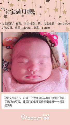 journal_insert_pic_1191440684