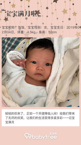 journal_insert_pic_1191891294