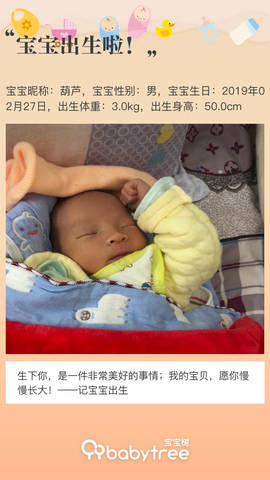 journal_insert_pic_1192824218